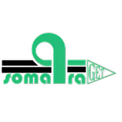 Logo client NEW SOMATRA TOPAZ ENHANCE 4X